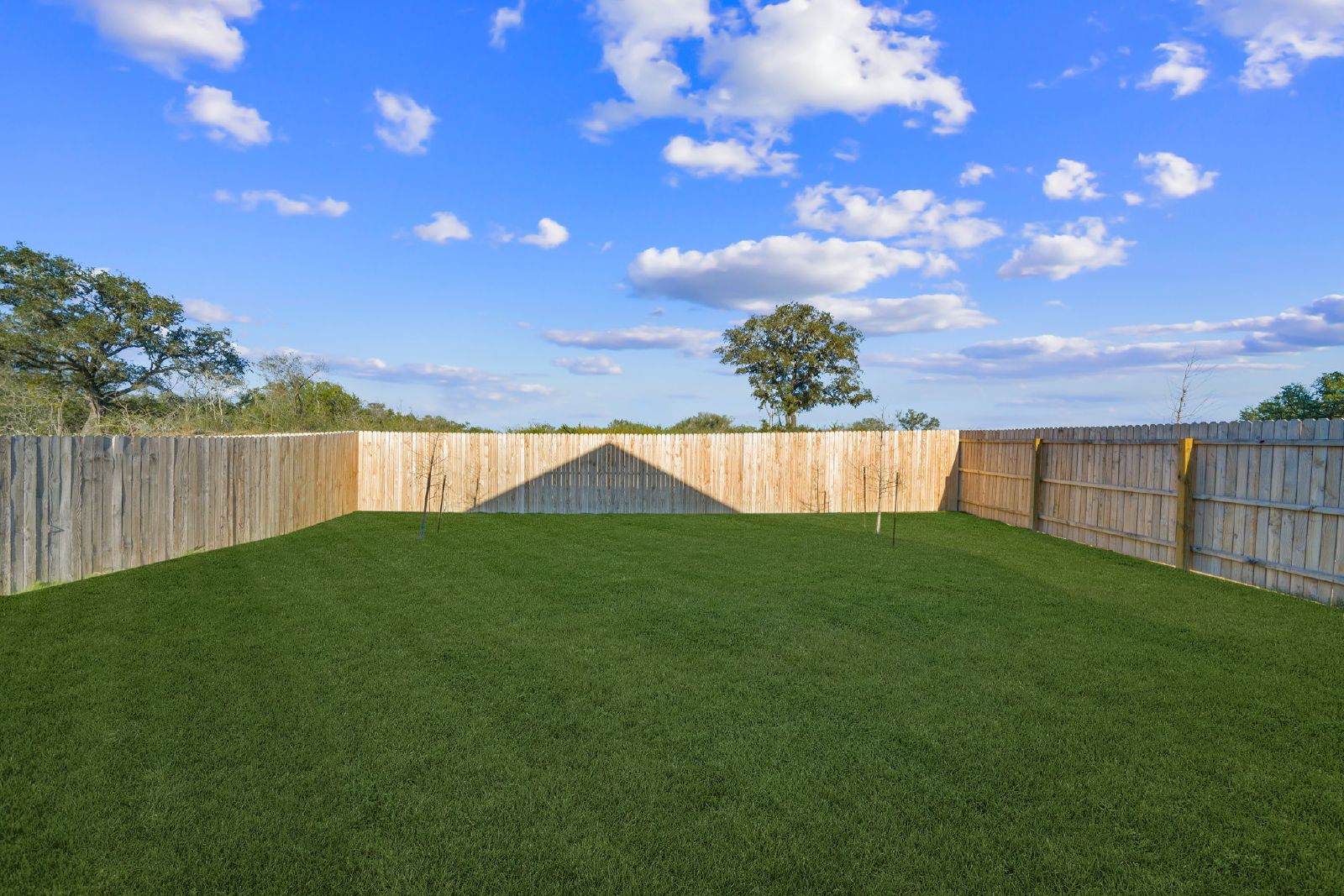 13002 Sage Turn, St Hedwig TX 78152 property image