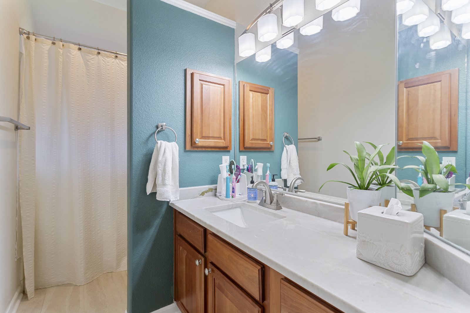2026 Three Frks San Antonio, TX 78258 property image