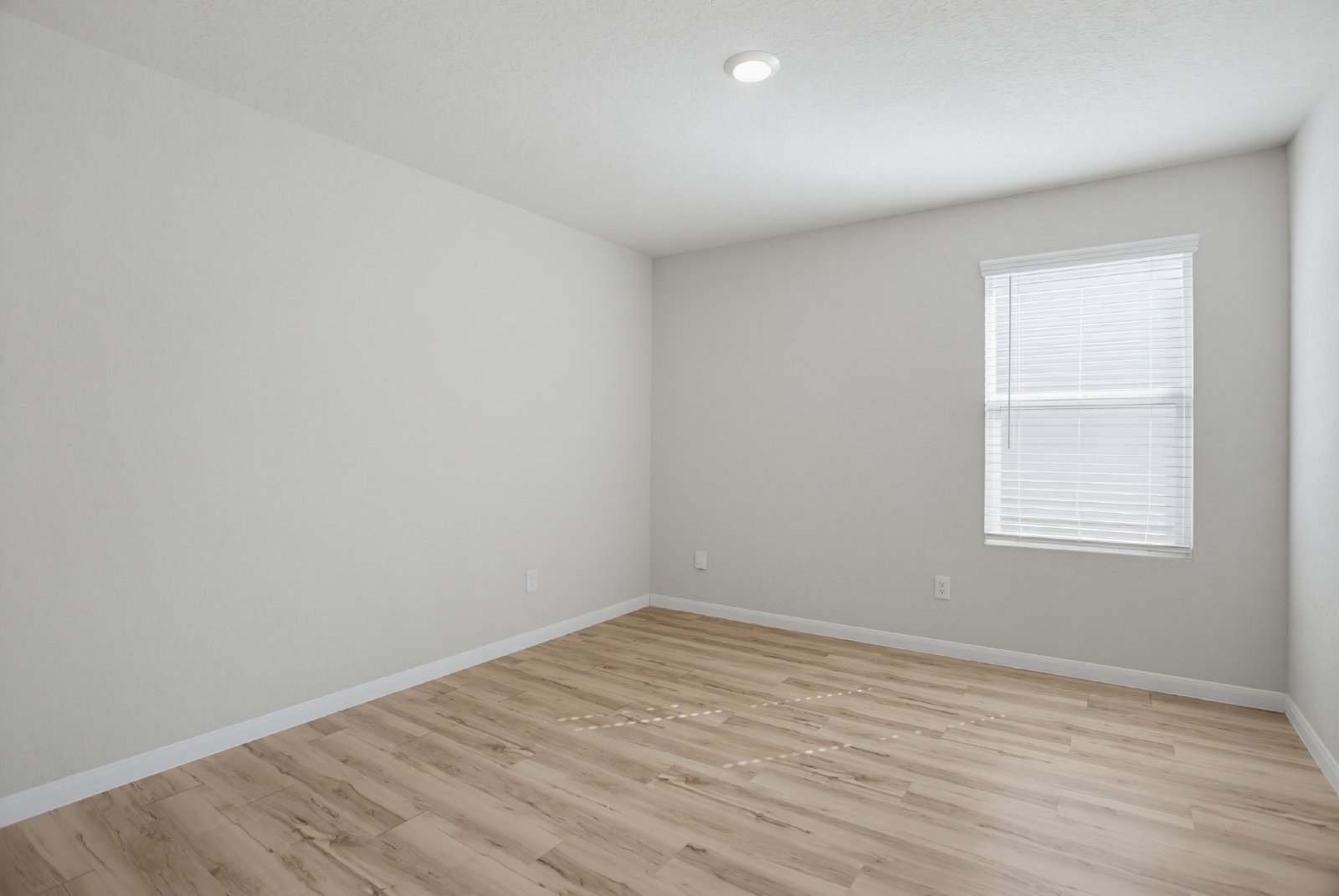 13138 Rosemary Cv, Saint Hedwig, TX 78152 property image