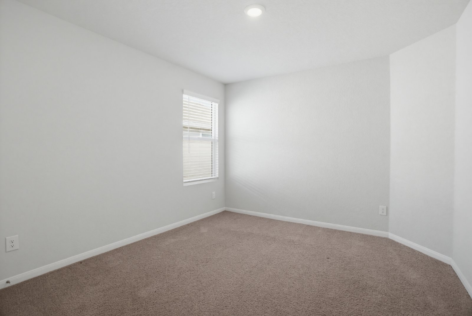 13138 Rosemary Cv, Saint Hedwig, TX 78152 property image