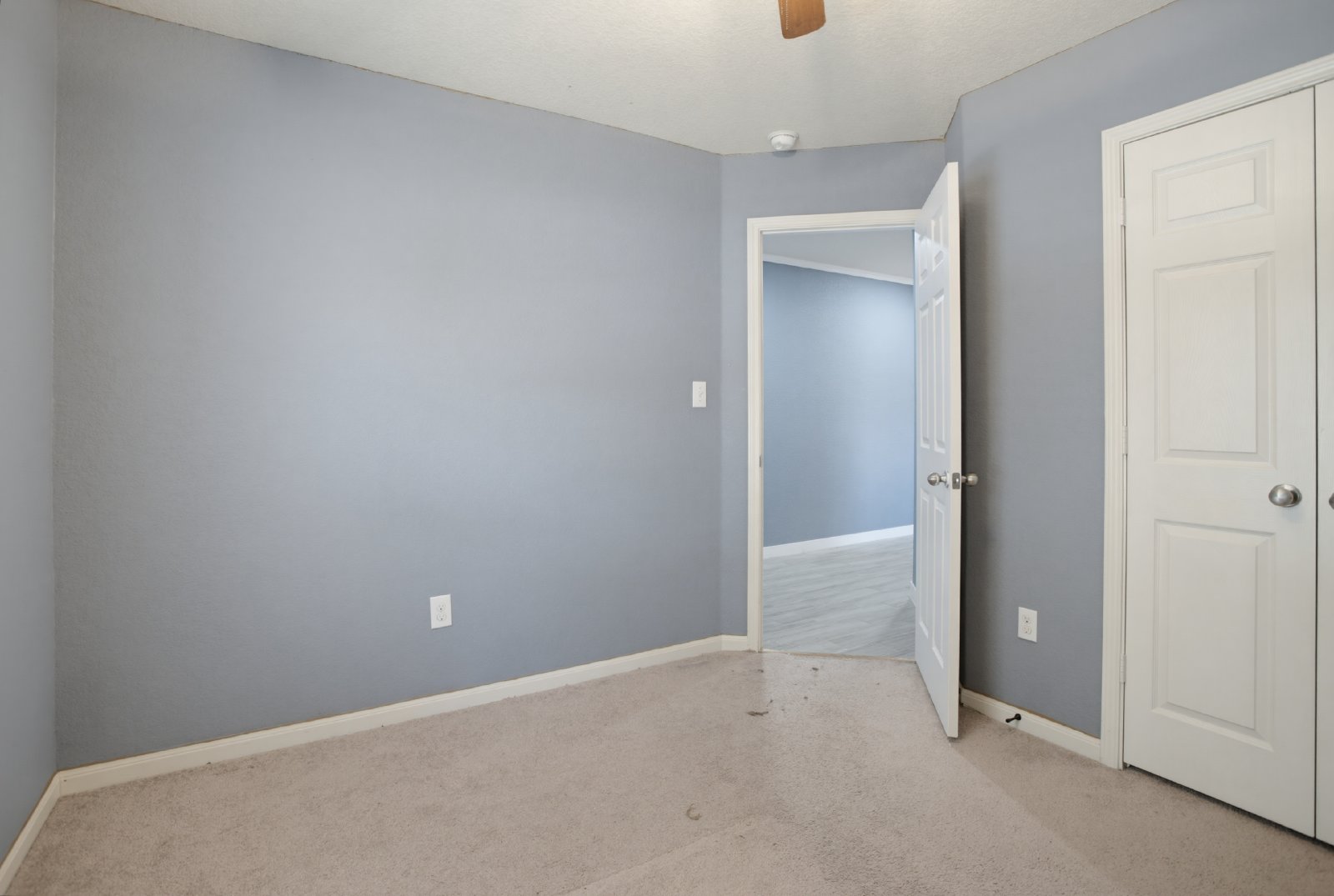 6643 Luckey Tree, San Antonio TX 78252 property image